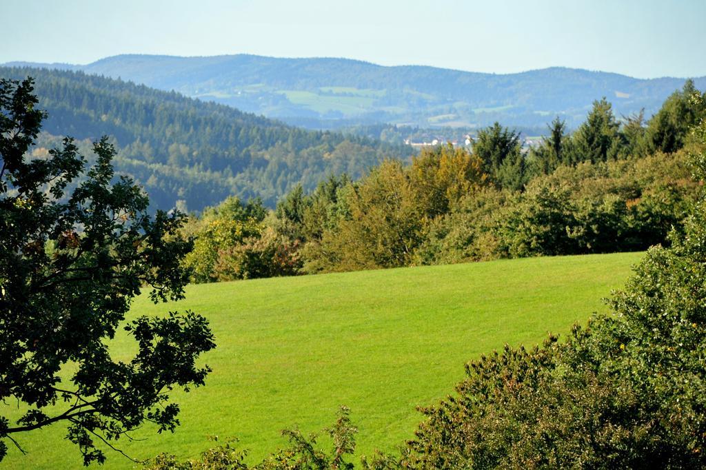 Apartman Na Bubnu Náchod الغرفة الصورة